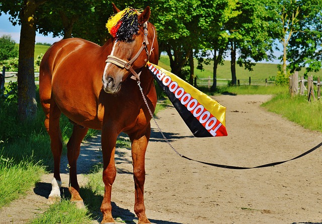 的动态及影 的动态及影