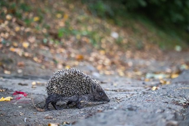 起伏的赛道 起伏的赛道