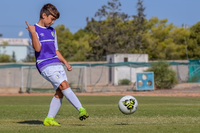 未来展望 未来展望