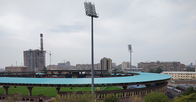 王艺迪的正 王艺迪的正