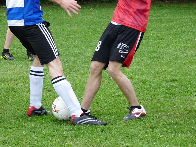 交平台的传 交平台的传