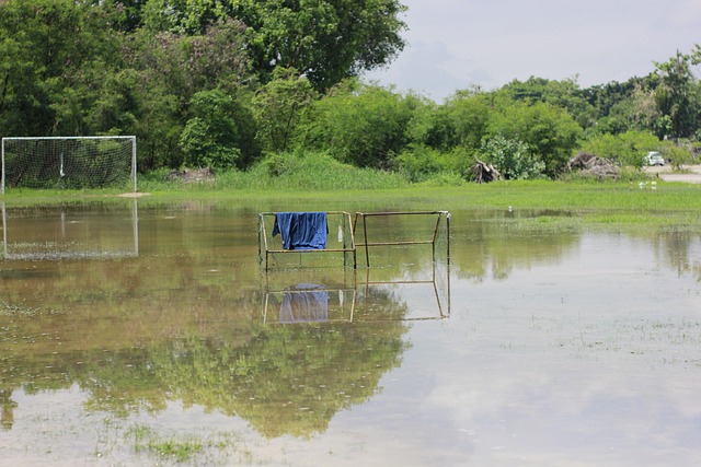 状态无疑让 状态无疑让
