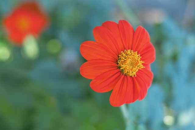 艰苦训练 艰苦训练