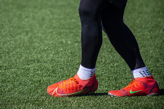 多元评价体 多元评价体