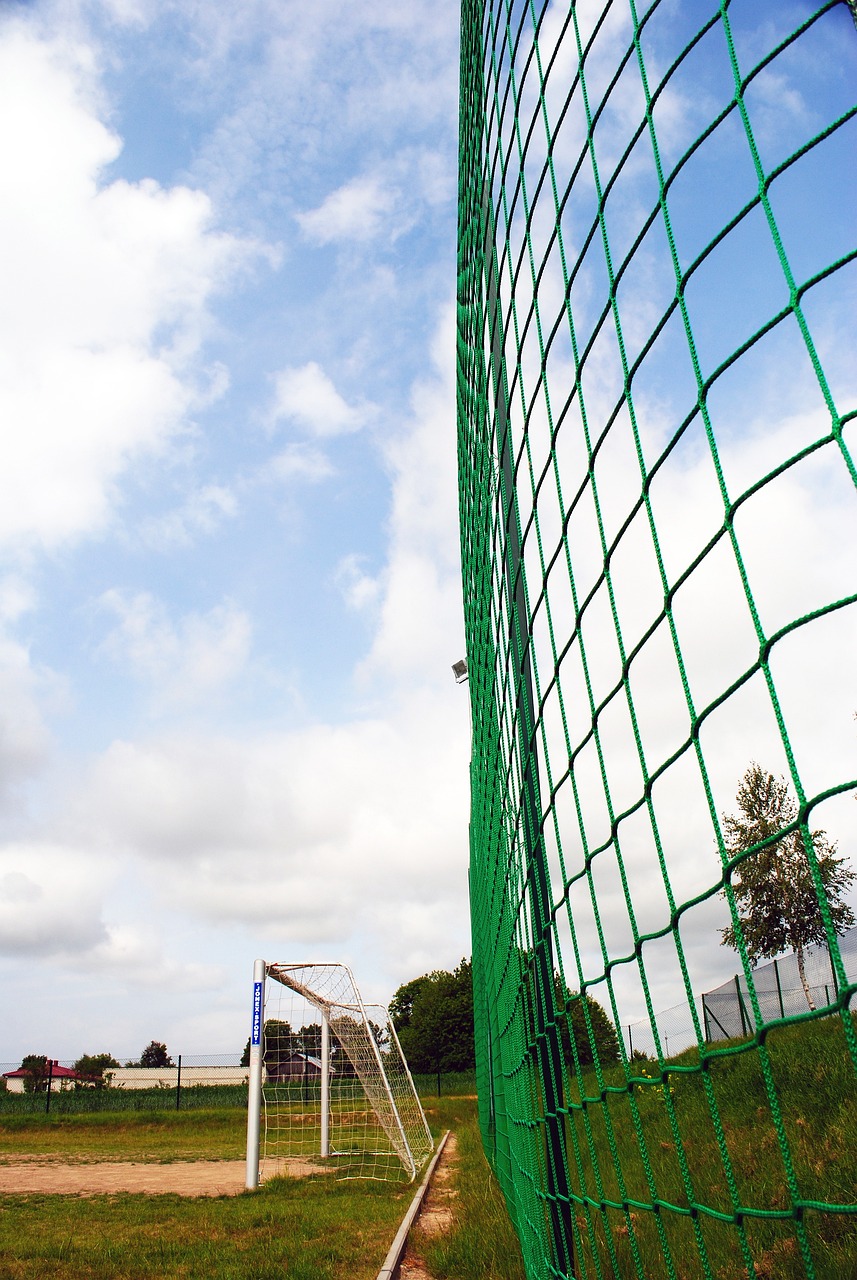 激烈的争夺 激烈的争夺