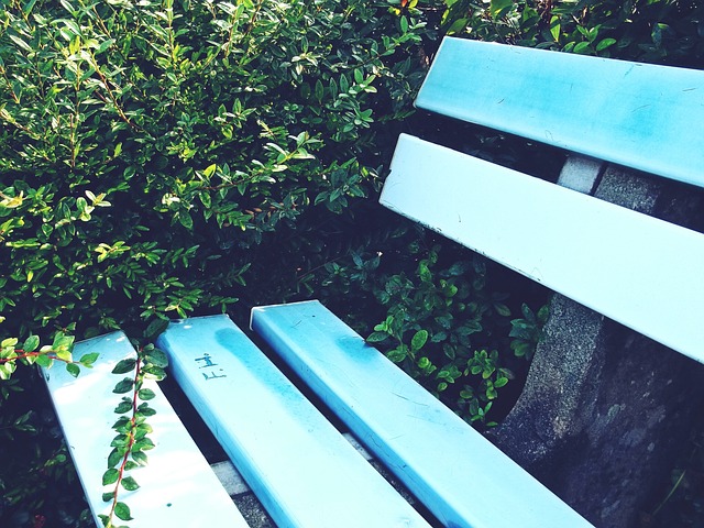 努力之间的 努力之间的