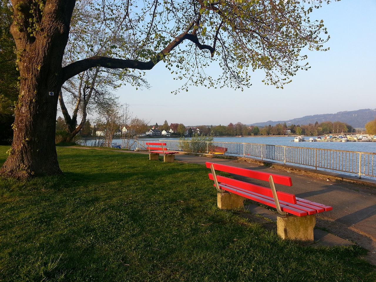 超级球星的 超级球星的