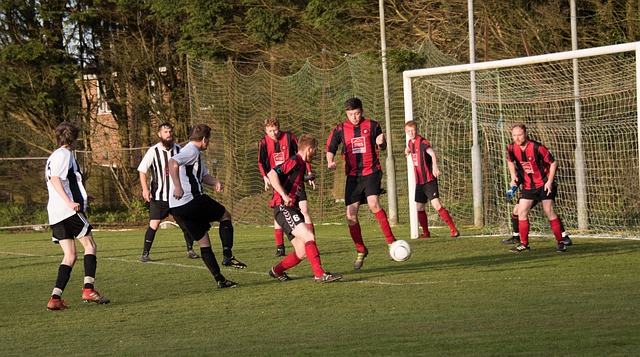 刘晓宇以其 刘晓宇以其