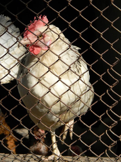 其品牌影响 其品牌影响