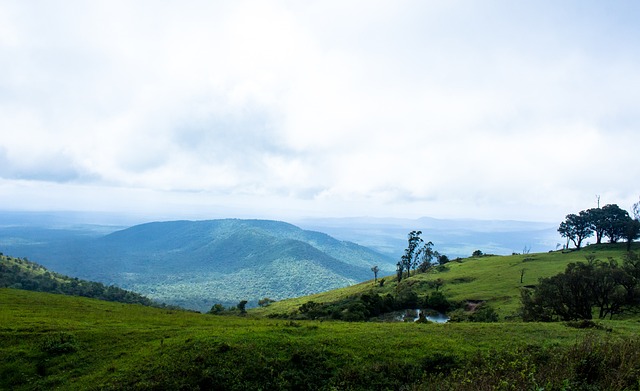 球队历史与 球队历史与