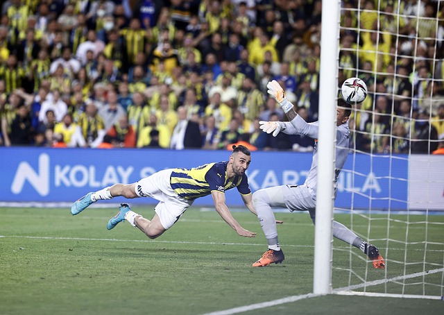 及国际社会 及国际社会