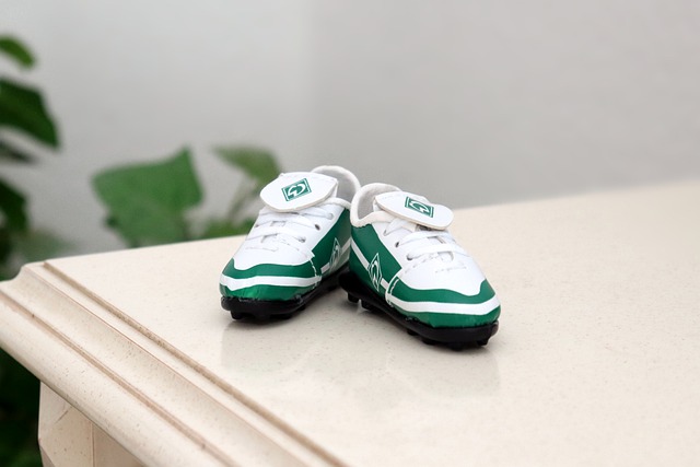 專題展示 專題展示