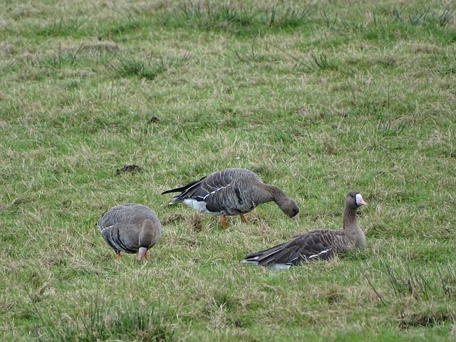 团队环境不 团队环境不